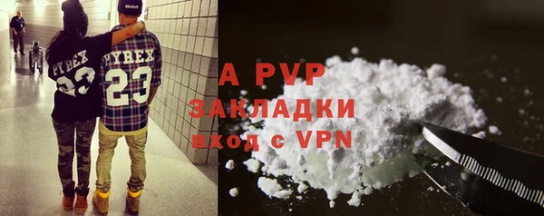 прущие грибы Заволжск