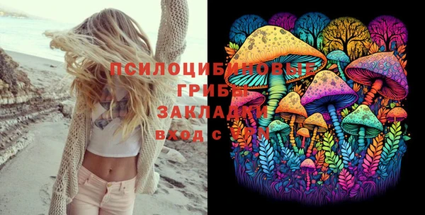 прущие грибы Заволжск