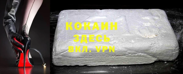 прущие грибы Заволжск