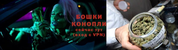 прущие грибы Заволжск