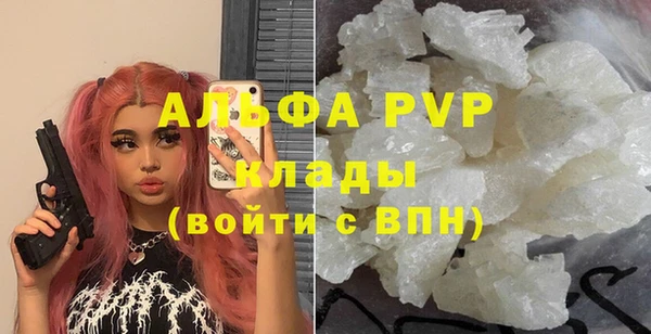 прущие грибы Заволжск