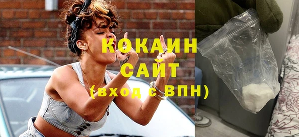прущие грибы Заволжск