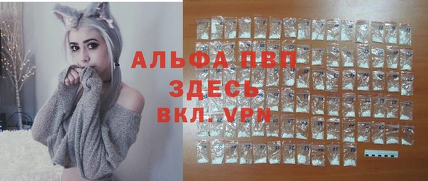 прущие грибы Заволжск