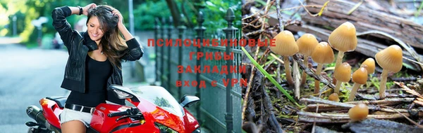 кристаллы Заводоуковск