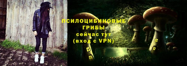 прущие грибы Заволжск