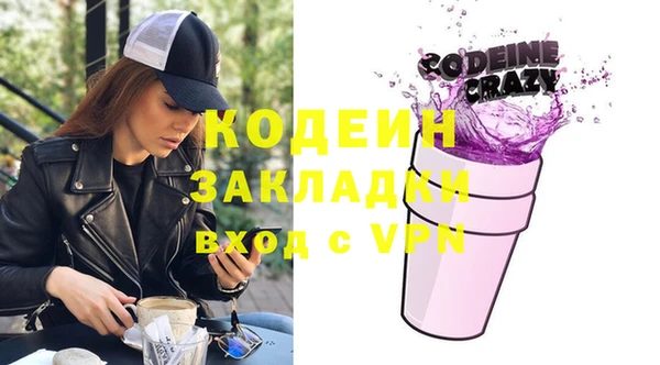 прущие грибы Заволжск