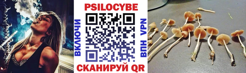 Галлюциногенные грибы Magic Shrooms  Купить  Кызыл 